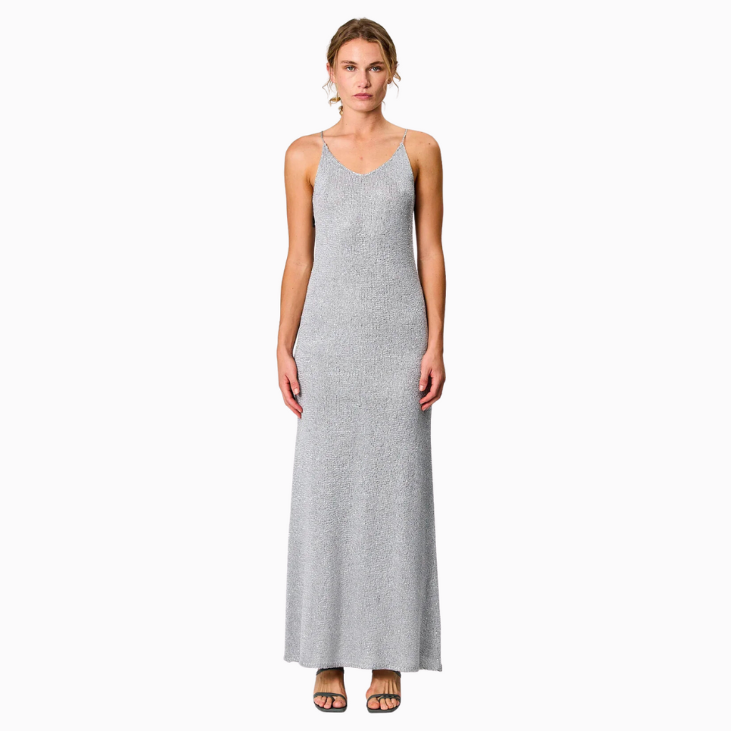 remain darcie maxi dress grey sequin